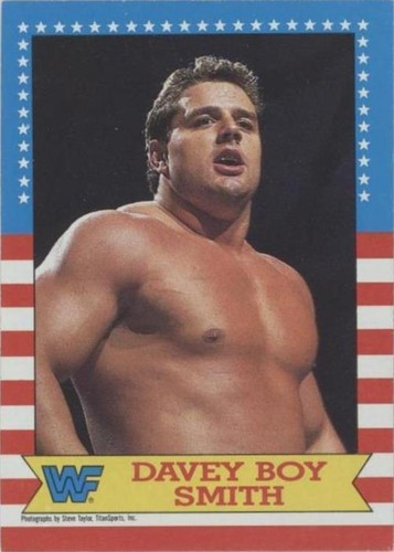 1987 Topps WWF - Davey Boy Smith #19