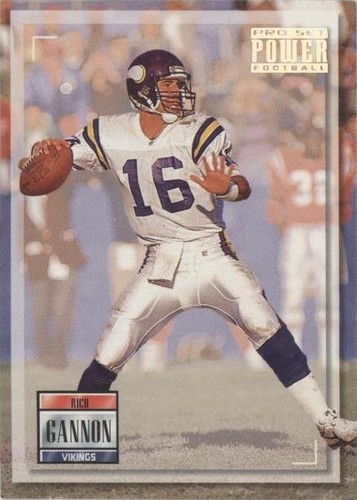 1993 Pro Set Power Rich Gannon #16