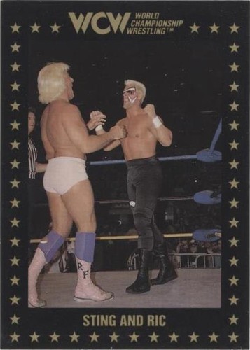 1991 Championship Marketing WCW - Sting #52