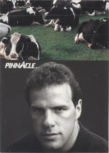 1991 Pinnacle Ray Childress #394