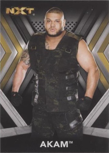 2017 Topps WWE NXT - Akam #2