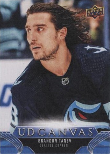 UPPER DECK NHLカード SP AUTHENTIC BRANDON TANEV WINNIPEG JETS 524/999 #193 送料無料 中古 IT1 UPPER DECK NHLカード SP AUTHENTIC BRANDON TANEV WINNIPEG