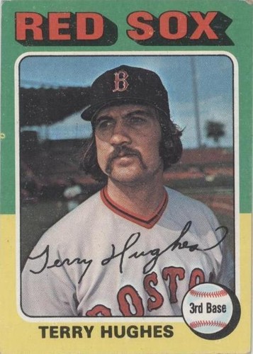 1975 Topps - Terry Hughes #612