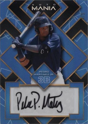Pedro Martinez Jr. Auto Wild Card 1/4 Card Draw 5 | eBay