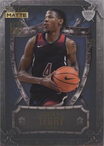 2022 Wild Card Matte SP Exclusive - Dalen Terry #WWN-3