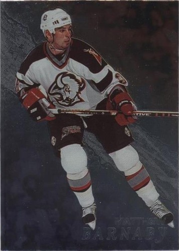 1998-99 In the Game Be A Player - Matthew Barnaby #14