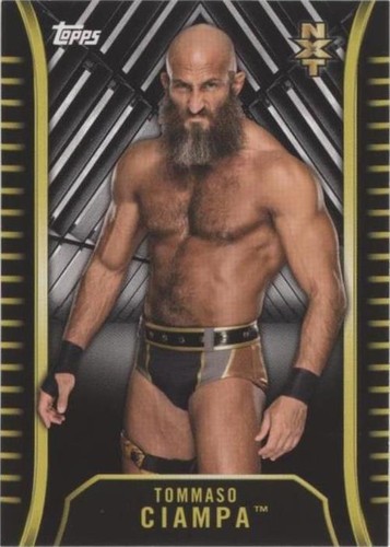 2018 Topps WWE NXT - Tommaso Ciampa #R-31