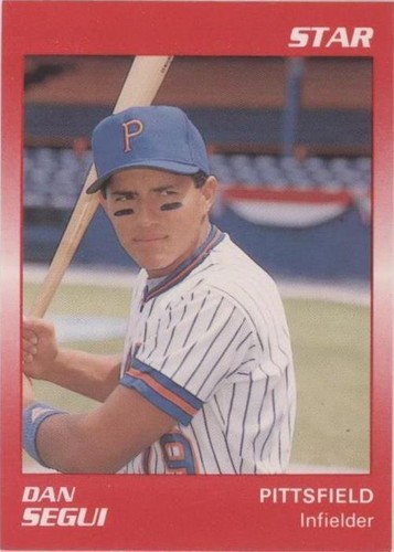 1989 Star Minor League - Dan Segui #166