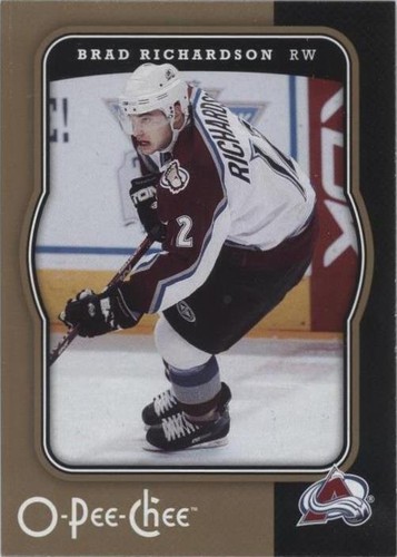 2007-08 O-Pee-Chee - Brad Richardson #131