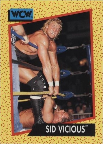 1991 Impel WCW - Sid Vicious #27
