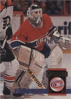 1993-94 Donruss - Ron Tugnutt #453