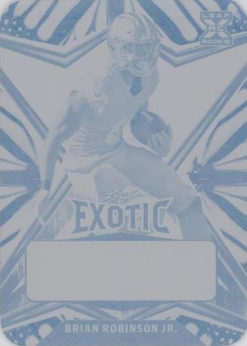 2022 Leaf Exotic Brian Robinson Jr. #BA-BRJ