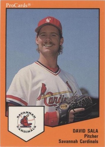 1989 ProCards Minor League Team Sets - David Sala #367