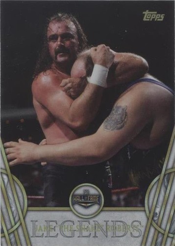 2018 Topps Legends of the WWE - Jake "The Snake" Roberts #24