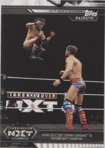 2019 Topps WWE NXT - Adam Cole Johnny Gargano #100