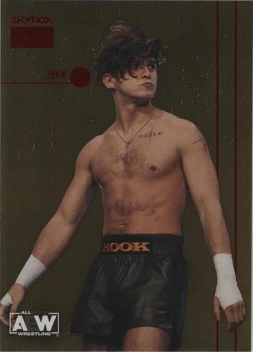 2022 Skybox Metal Universe AEW All Elite Wrestling - Hook #PP-18