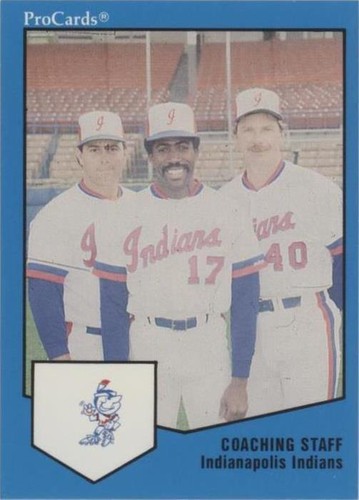 1989 ProCards Triple A - Dave Van Gorder Joe Kerrigan Nelson Norman #1227