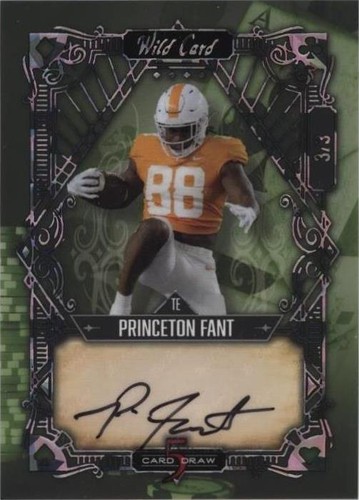 2022 Wild Card 5 Card Draw Princeton Fant #5CDV-81