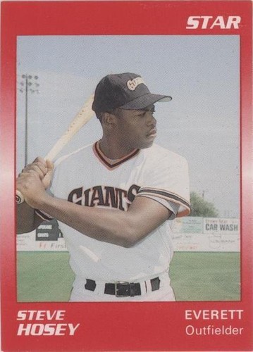 1989 Star Minor League - Steve Hosey #193