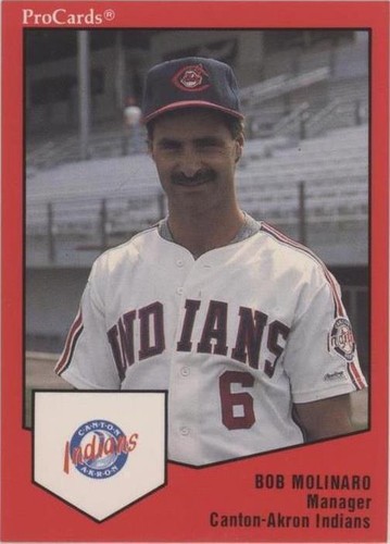 1989 ProCards Minor League Team Sets - Bob Molinaro #1319