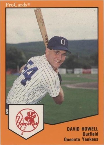 1989 ProCards Minor League Team Sets - David Howell #2113