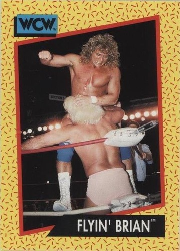 1991 Impel WCW - Brian Pillman #61