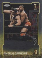 2015 Topps Chrome WWE - Angelo Dawkins #93