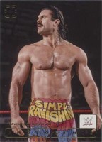 2024 Panini Photogenic WWE - Rick Rude #183