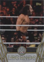 2018 Topps Legends of the WWE - Matt Hardy #65