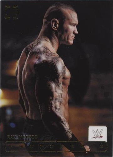 2024 Panini Photogenic WWE - Randy Orton #105