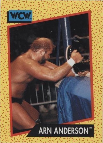 1991 Impel WCW - Arn Anderson #49