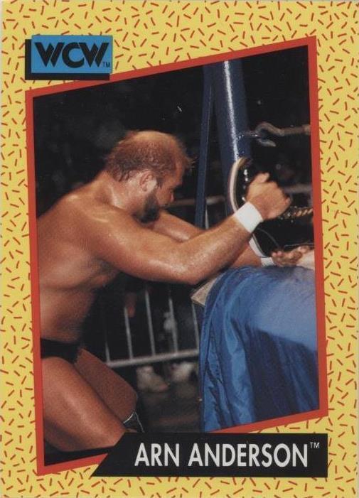 1991 Impel WCW - Arn Anderson #49