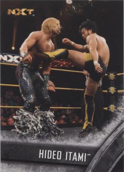 2016 Topps WWE NXT - Hideo Itami #11