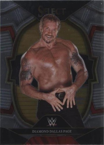2023 Panini Select WWE - Diamond Dallas Page #9