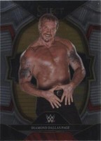 2023 Panini Select WWE - Diamond Dallas Page #9