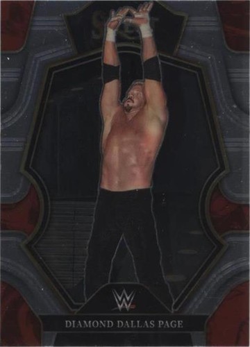 2023 Panini Select WWE - Diamond Dallas Page #198