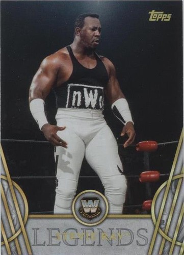 2018 Topps Legends of the WWE - Stevie Ray #47