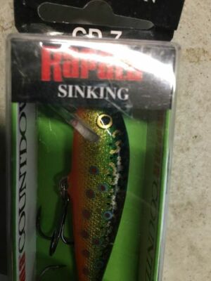 Rapala CD07BTR Count Down Fishing Lure 2 3/4'' 1/4 oz Brook Trout Sinking
