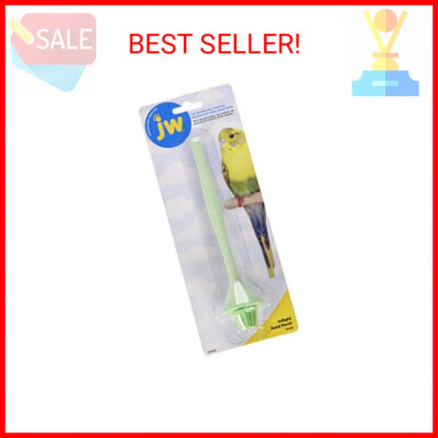 JW Pet Insight Sand Perch, Small, Assorted Colors