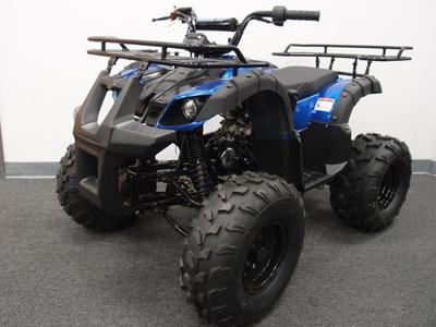 BIG ATV 125cc Youth ATV TAOTAO T FORCE Utility Kids 4 wheeler FREE SHIP 125CC