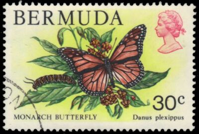 BERMUDA 373 (SG397) - Monarch Butterfly ''Danaus plexippus'' (pb20532)