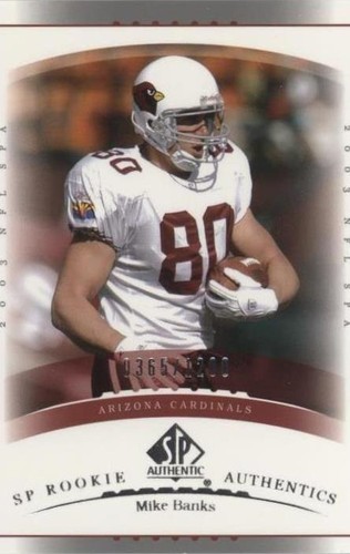 2003 SP Authentic Mike Banks #207
