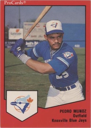 1989 ProCards Minor League Team Sets - Pedro Munoz #1126