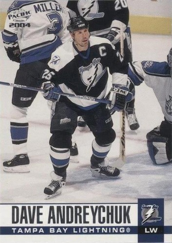 2003-04 Pacific - Dave Andreychuk #303