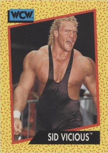 1991 Impel WCW - Sid Vicious #24
