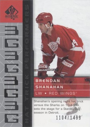 2002-03 SP Authentic - Brendan Shanahan #97