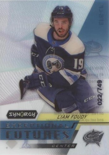2020-21 Upper Deck Synergy - Liam Foudy #EFS-LF
