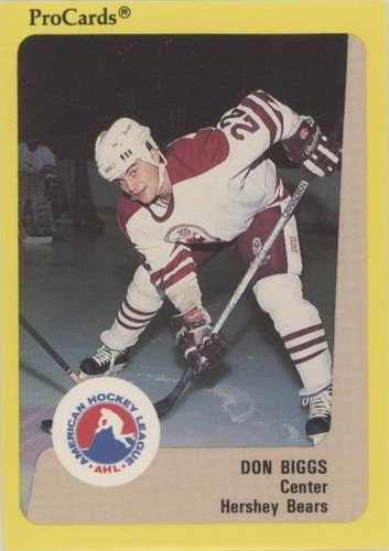 1989-90 Procards AHL - Don Biggs #331