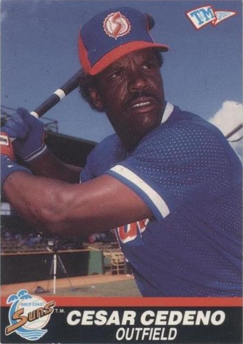 1989-90 T&M Senior Professional Baseball Association Baseball Trading Cards