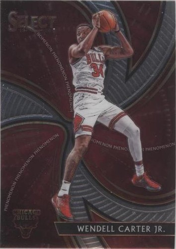 2019-20 Panini Select - Wendell Carter Jr. #23